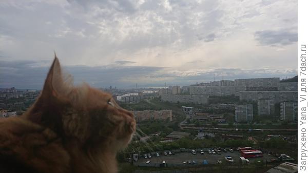 Ах, кажется птичка пролетела....