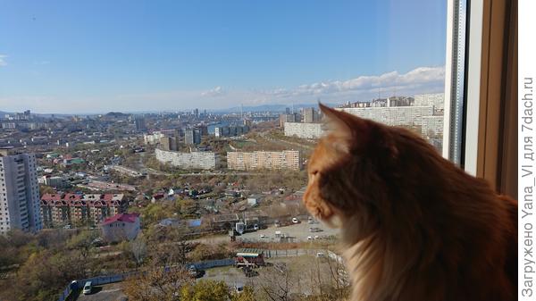 Или сияющее наконец солнце поздней осенью...