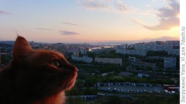 Вдохнуть глоток свежего воздуха