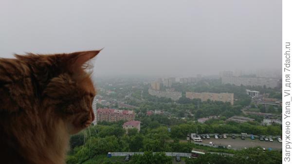 Ну или тумана...тут уж как повезёт...