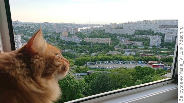 Оценить обстановку