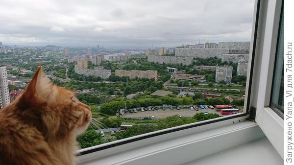 оценить тучи на горизонте...
