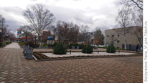 клумбы красивые и аккуратные