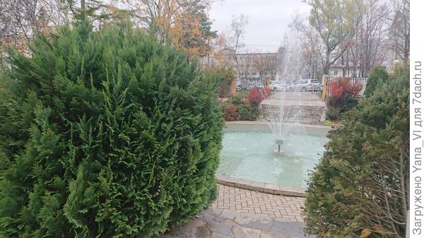зелёные красавицы хоть немного разбавляют огненную красоту :)