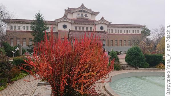 Барбарисы полыхают костром