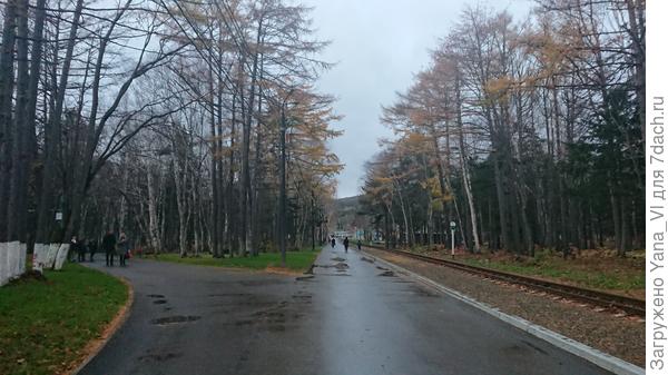 Аллеи парка. Справа - рельсы детской железной дороги. Она идёт вокруг озера и в лес...