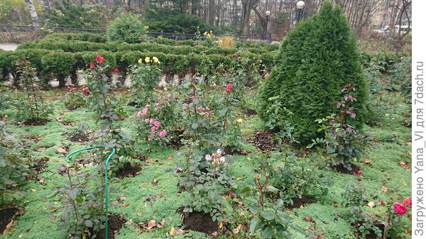 Ещё кусочек