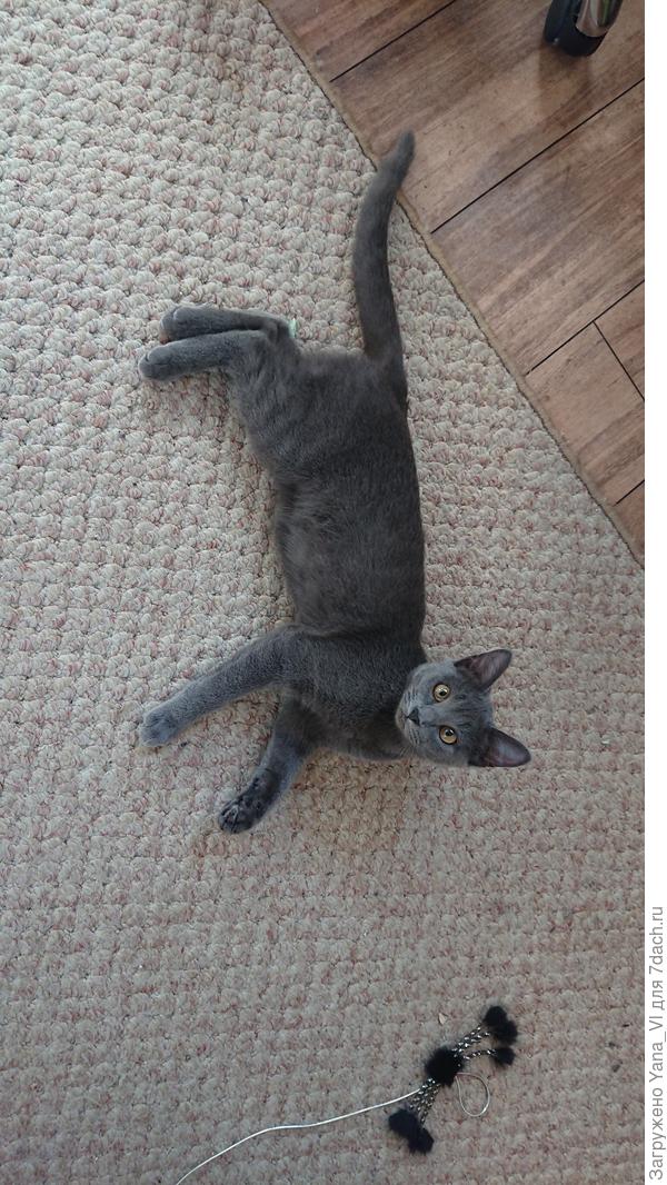 Это Тэм (худышка)