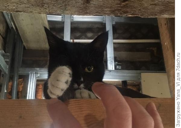 Кулачок показывает :)