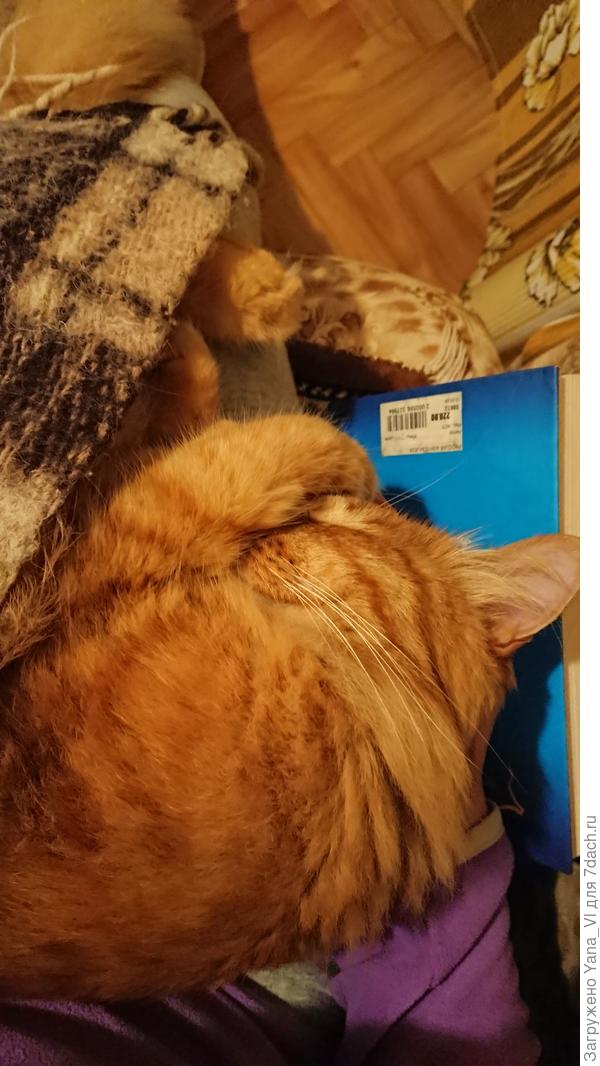 Рыжему очень стыдно, что не поздравил!