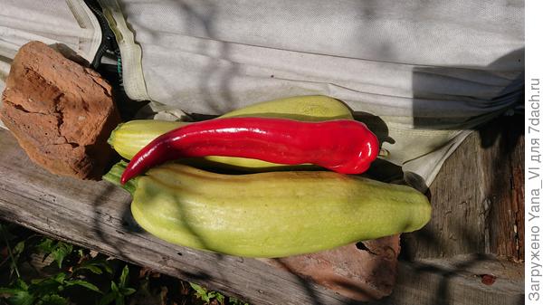 Только у меня острый перец ОГРОМНЫЙ :) размером с кабачок