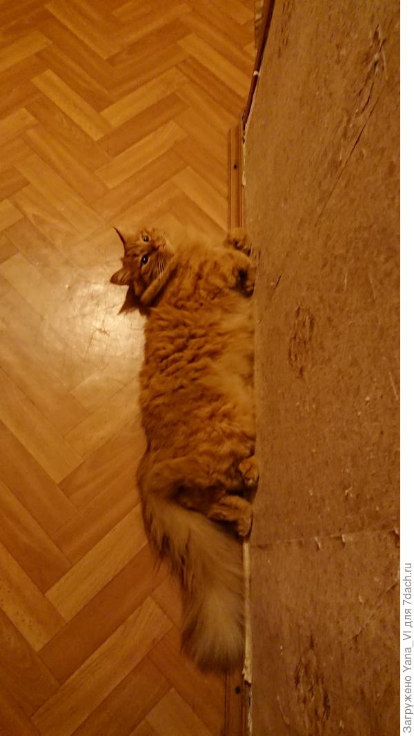 Шёл и устал :)