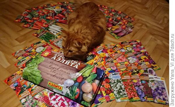 Коробка была категорически вытолкана носом...