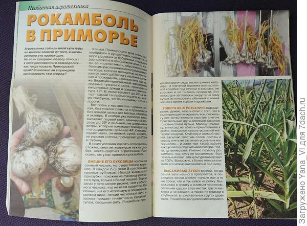 Статья
