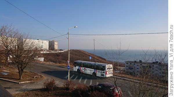 В эти выходные сняла. Мороз уже был по ночам до -29.