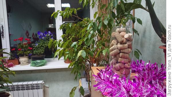 Пока служат декорацией