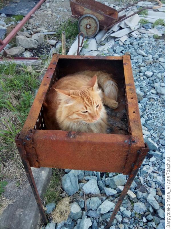 Тут вроде не совсем коробка :) Но тоже умостился :)