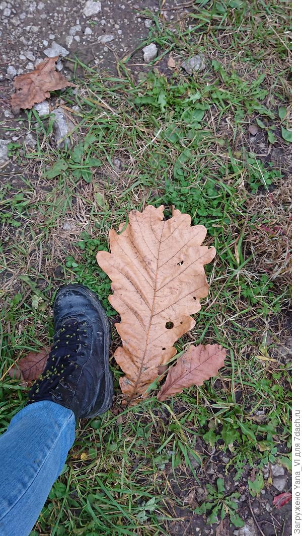 А ботинка 36 ;)