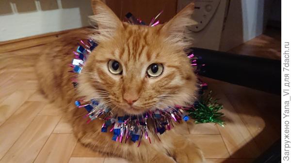 Котик новогодний вместо курочки :) сойдёт? ;)