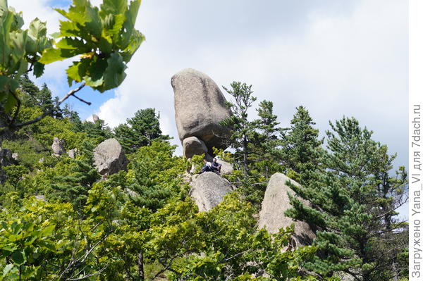 Это он издалека (но кусты заслоняют тонкое основание, зажатое между камнями... Но зато хорошо видно, как сильно расширяется верхняя часть.