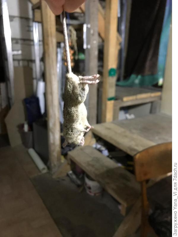 Фото в студии ;)