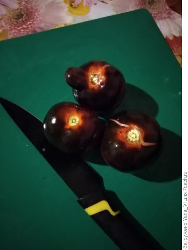 Моя Черника