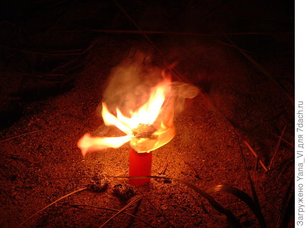 Правда, похоже на цветок?