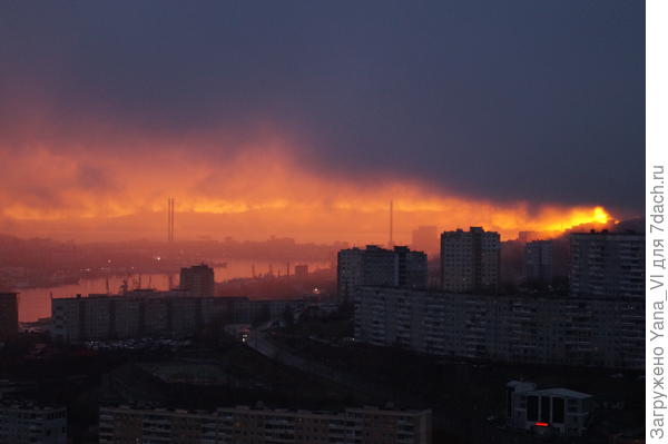 С максимальным приближением. Если бы не сама снимала, а фото увидела - подумала бы, что что-то горит