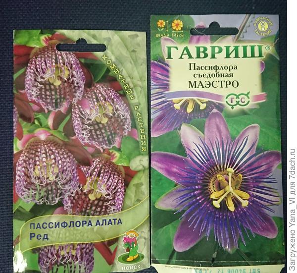 Пакеты с семенами