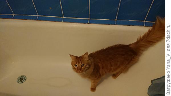 Замучили вы меня совсем... утоплюсь!