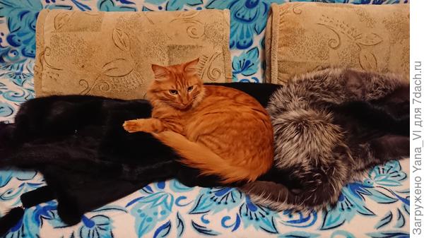 Своей шубы с такими морозами маловато будет однако...