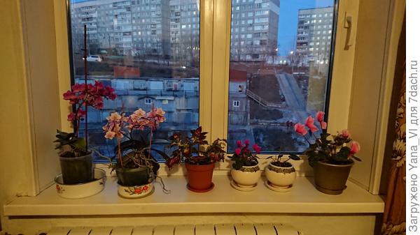 Подоконник