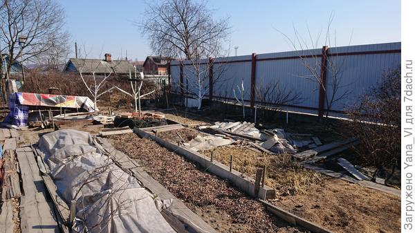 А это наша зима... Сняла сегодня на огороде. Конец февраля, блин...