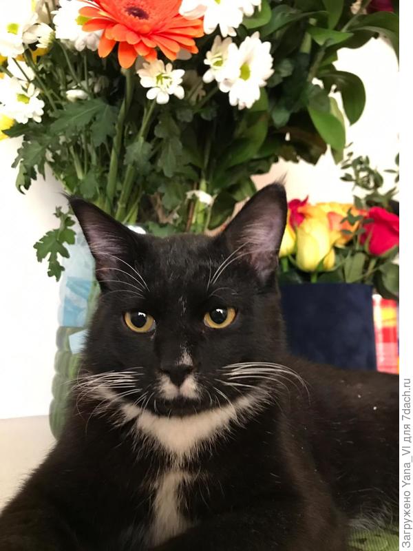 А это от Кощея