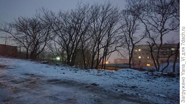 Снег начался ещё ночью...