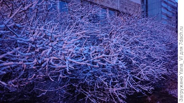 Новогодняя сказка 31 марта :)