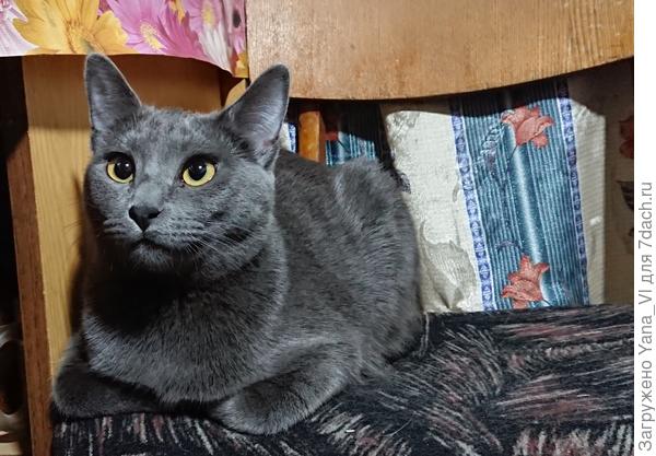 Уже и мордочку наела... :)