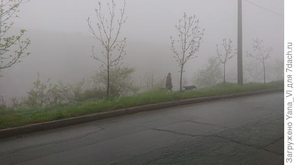 Только что сняла из окна авто