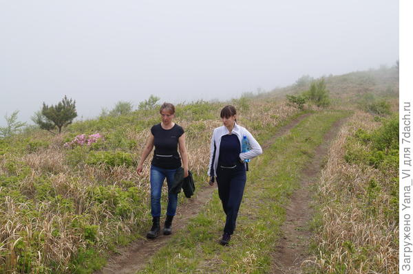 Шагаем с дочкой по дороге :)