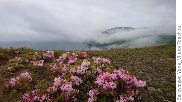 Заповедник