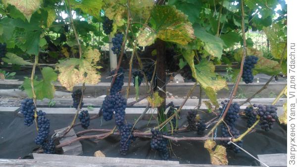 Вот здесь нагляднее наверное...