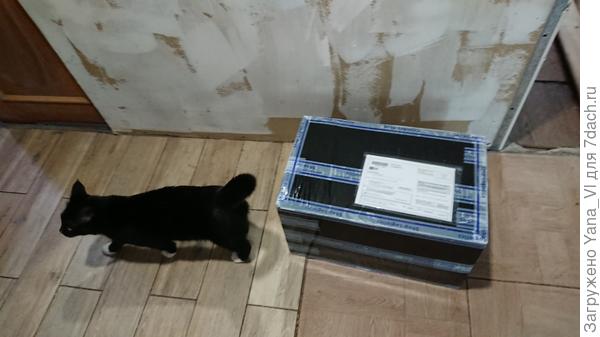 Коша сразу взял коробку под охрану, контролировал периметр! :)