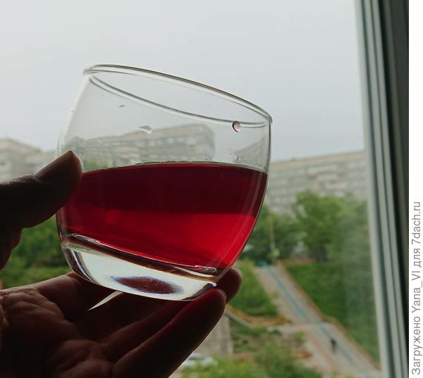 Наливочка дачная (первый сбор 2019 г)