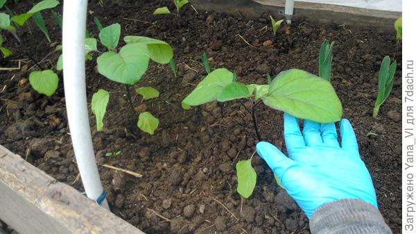 Дата съёмки 13 мая.