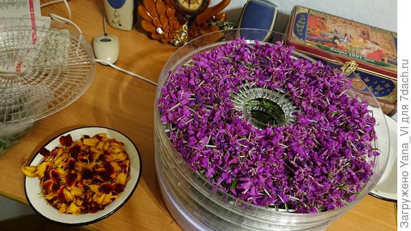 Вот такая красота!