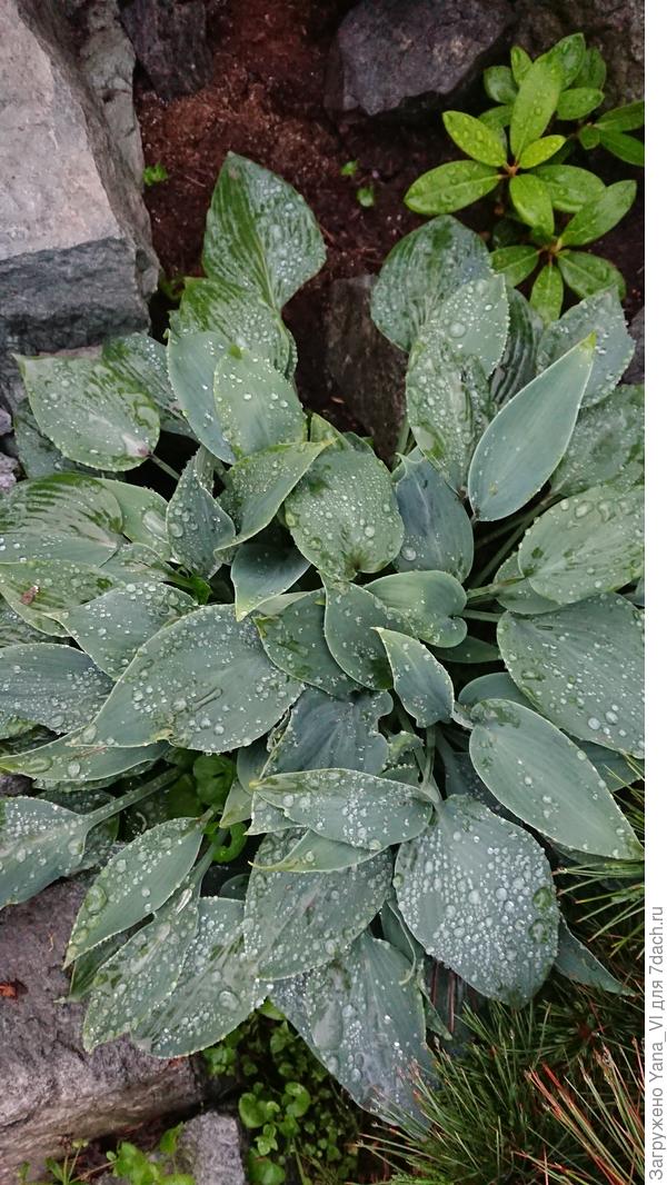 Только дождь, холодно, мокро и темно ... выглядит иначе, чем на свету.