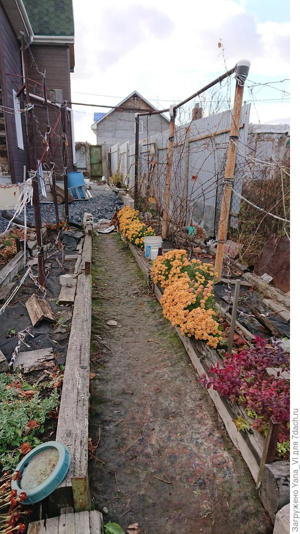 А тут вдоль винограда. Хотя как раз виноград то уже сдох давно от мороза...