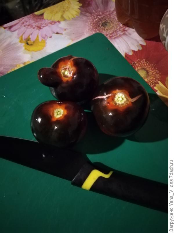 Моя черника