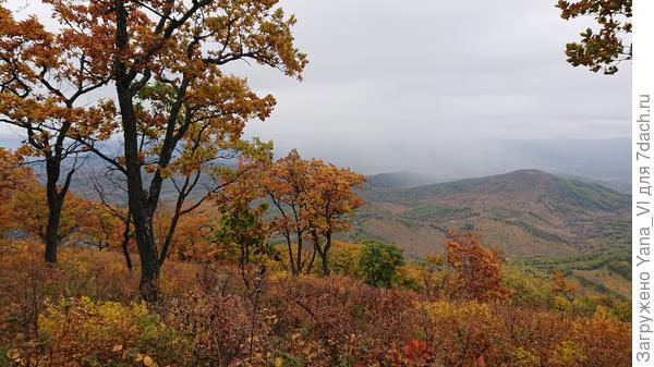 Даже в непогоду и без солнца краски яркие-яркие!