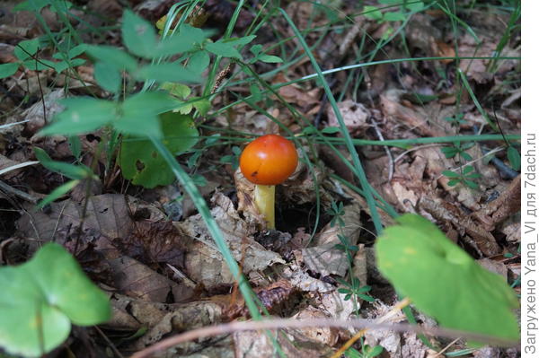 И этот малыш